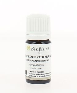 Verveine odorante